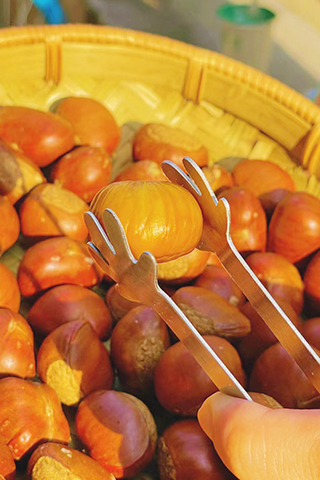 棕色琥珀似的栗子