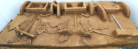 ◎ 邵家棚遺址K3車馬坑出土情況(資料照片)。新華社發(國家文物局供圖)