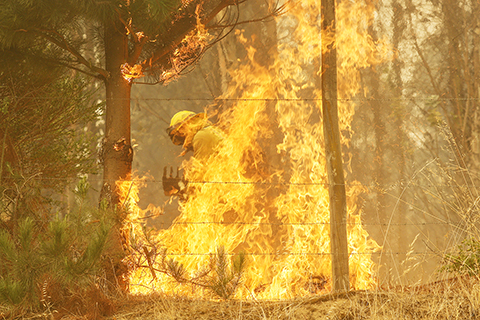 ◎ 二月四日,消防員在智利比奧比奧大區納西緬托進行滅火作業。(新華社/智利一號通訊社)