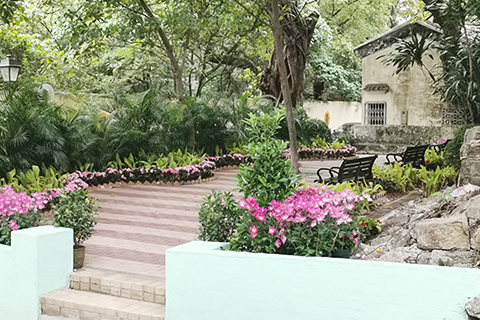 無名小花園〈素啤古街入口,2023年2月7日攝〉。