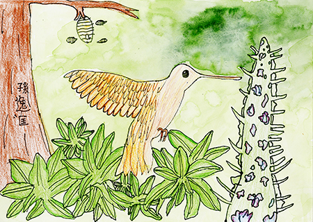 蜂鳥 濠江中學附屬英才學校 三年級 孫逸匡