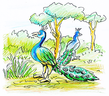 曹長雄老師 謎語圖