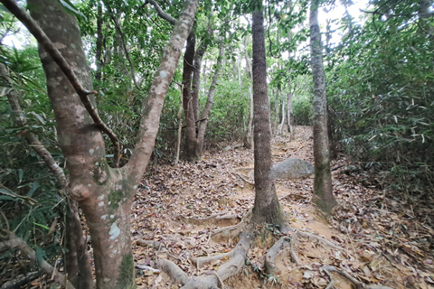 山路尚算好走。