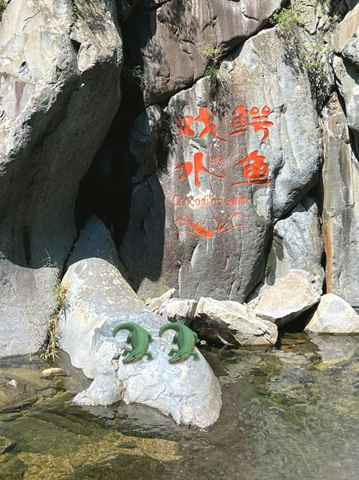 九道缸一款石頭上刻字鱷魚戲水。