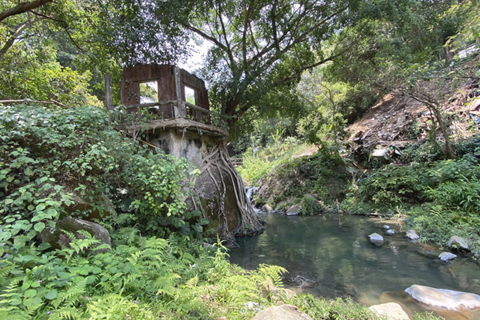 樹屋建於石澗的岩石上。