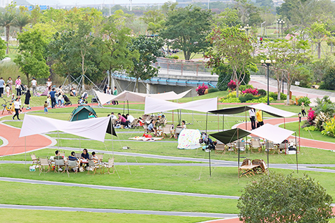 ◎ 橫琴公共生態遊持續走紅,遊客量連續增長。