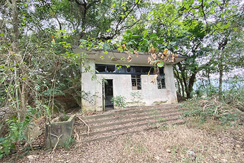 校舍給樹木圍繞。