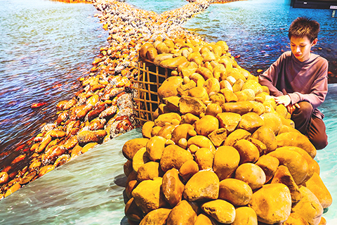 ◎ 海螺館內,介紹昔日「石塭捕魚」的方法。(香港中通社圖片)