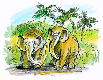 曹長雄老師 謎語圖