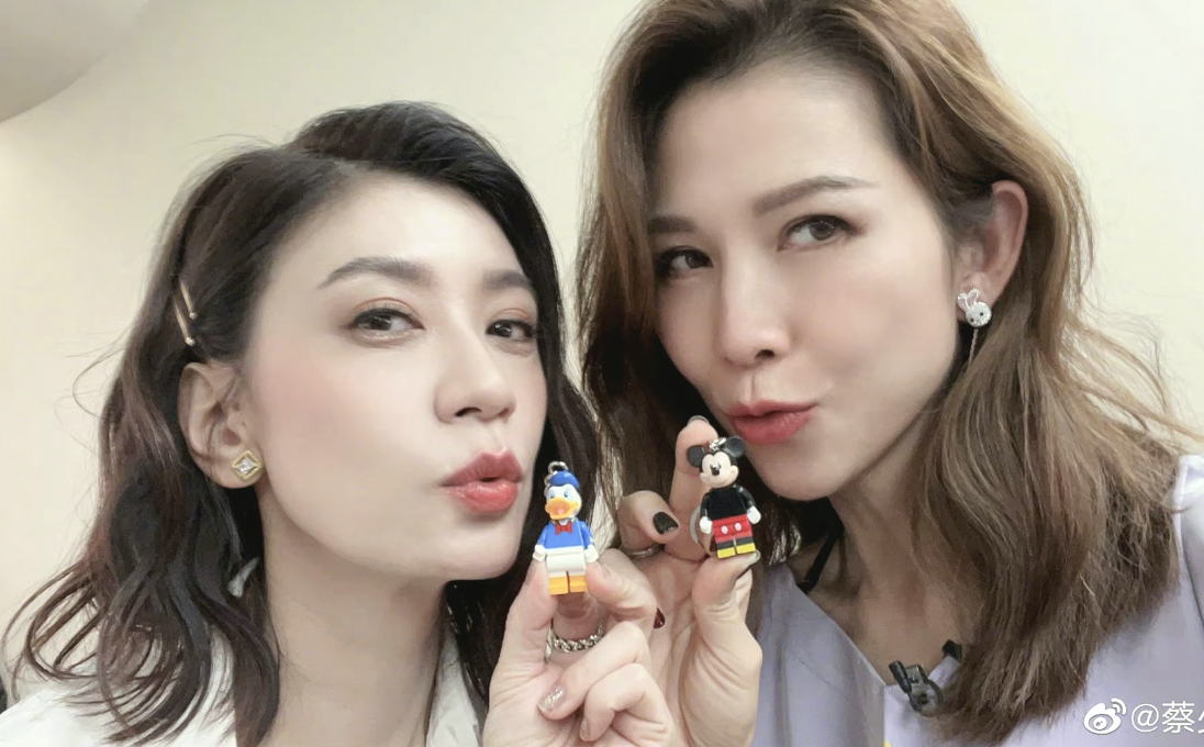 ◎ 賈靜雯(左)和蔡少芬。