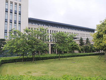 教學樓邊上的草坪、樹木和隔離帶。