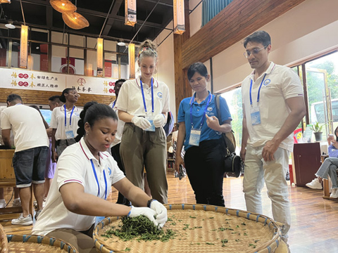 ◎ 七月十三日,來自二十七個國家的四十七名外籍師生來到四川雅安,體驗制茶工藝。王利文 攝