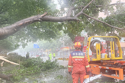 ◎ 七月二十八日九時五十五分,今年第五號颱風「杜蘇芮」在福建晉江沿海登陸,登陸時中心附近最大風力十五級(五十米/秒,強颱風級)。圖為消防救援人員清理被狂風掀翻的樹木。(中新社發 泉州消防供圖)