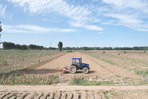 ◎ 八月十八日,河北省涿州市刁窩鎮小豹子莊村正在復耕。(無人機航拍照片) (中新社記者翟羽佳 攝)