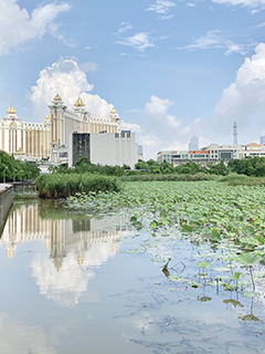 龍環葡韻的酒店群倒影在荷塘中。