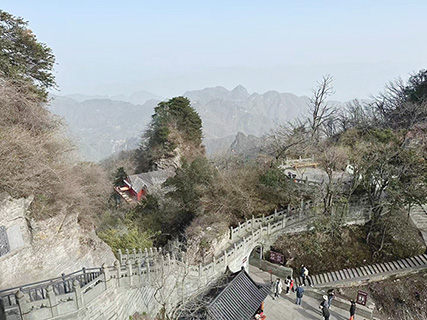 從索道俯瞰金頂。