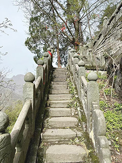 我們沿著小環線走。