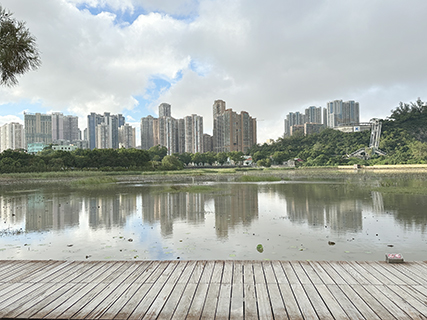 後背環大海灘,現今龍環葡韻的荷花池。