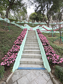 昔日石級兩邊是長滑梯,現改建為短花槽。