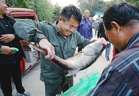 售出大魚的漁民喜笑顔開。(陳康 攝)