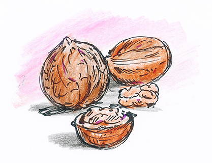 曹長雄老師 謎語圖