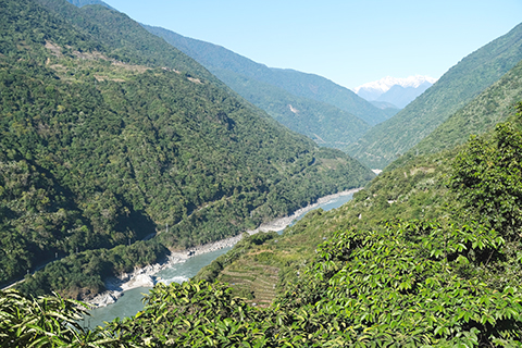 12月19日,墨脫縣雅魯藏布江沿岸植被以及遠處的雪山。(中新社記者 江飛波 攝)