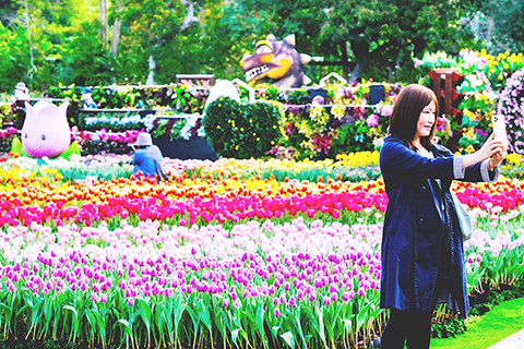 香鬱祈福 ◎二月廿二日,台灣台北士林園藝所展出春季花卉「鬱金香展」,以「香鬱祈福」為主題,搭建夢幻花海,展示超過十四萬株三十種來自荷蘭為主的鬱金香,吸引不少民眾打卡。(香港中通社圖片)