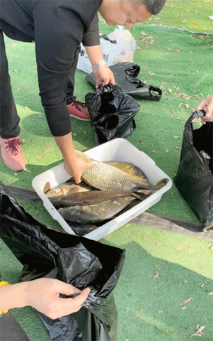 白洋淀漁民捕魚後非要送客人