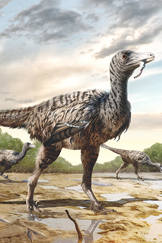 ◎ 英良福建足跡復原圖。(福建省英良石材自然歷史博物館供圖)