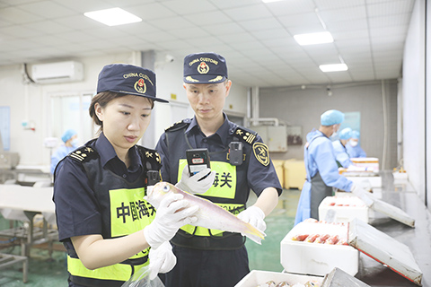 ◎ 拱北海關所屬香洲海關關員在對供澳冰鮮水產品進行檢查。(游雨亮 攝)