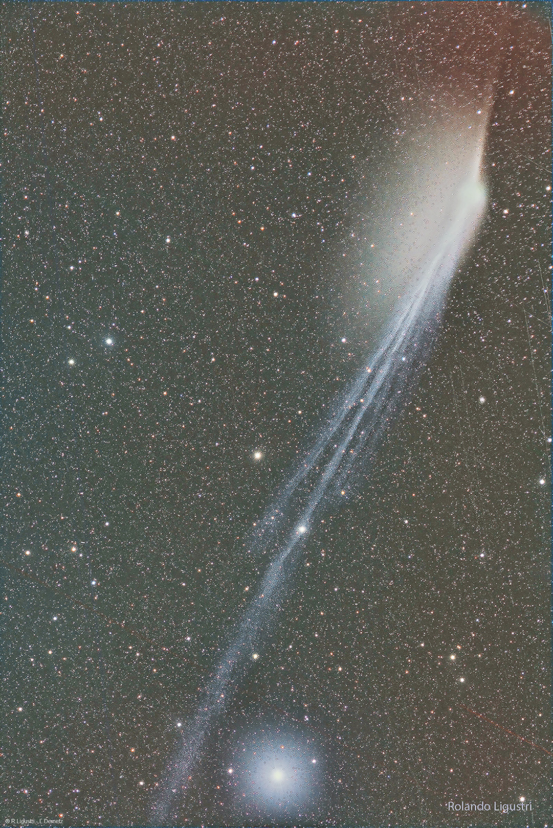 ◎ 龐士-布魯克斯彗星指向相反的彗尾。