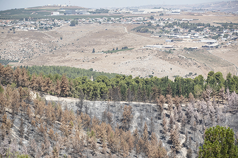 ◎ 自去年十月七日新一輪巴以衝突爆發以來,黎巴嫩真主黨不時向以色列北部發動襲擊,以軍空襲和炮擊黎南部目標進行報復。雙方在黎以邊境的衝突持續至今,黎南部和以北部邊境地區的大量居民已撤離。黎巴嫩真主黨領導人納斯魯拉七月十日表示,如果加沙地帶停火協議達成,該組織將與以色列「不經討論地」停戰。圖為七月十日,以色列北部邊境地區的部份森林遭黎巴嫩真主黨火箭彈襲擊所引起的山火焚燬。(新華社記者陳君清 攝)