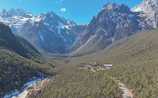航拍取景地玉龍雪山樹林