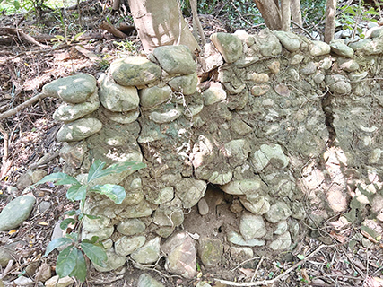 用石塊砌成的矮牆