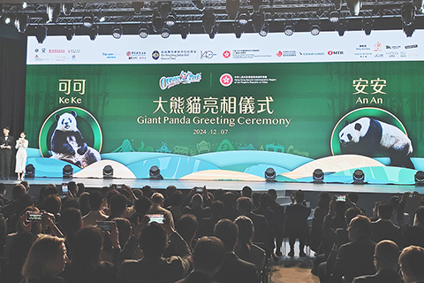 ◎ 香港海洋公園「大熊貓亮相儀式」現場。(中新社記者 侯宇 攝)
