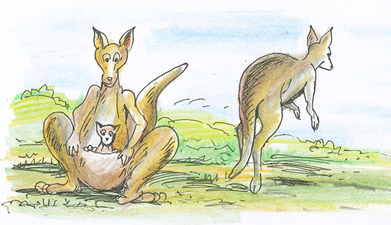 曹長雄老師 謎語圖