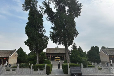 后土祠聖母殿前的兩棵古柏,被稱為龍鳳柏