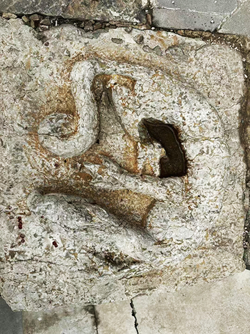 稷王廟的石刻「虺」