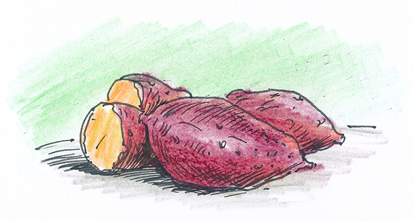 曹長雄老師 謎語圖