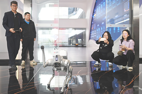 ◎ 二月廿八日,廣東廣州,傑創智能的電磁網捕巡邏機器狗演示巡邏功能。(中新社記者 陳楚紅 攝)