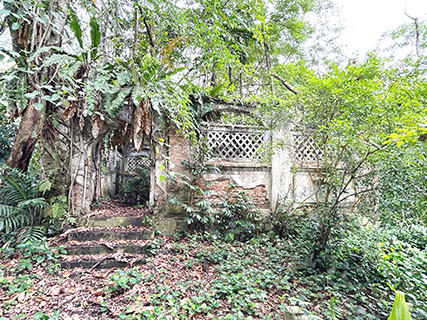 皇家的墓地已經殘破