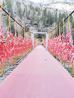 名為「鍾愛一生」的橋