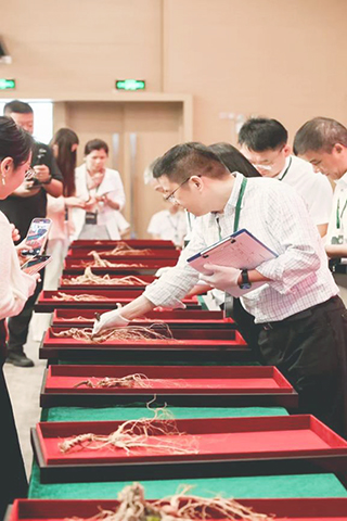 ◎ 「橫琴杯(暨第三屆岩合健康杯)」長白山野山參參王大賽決賽現場。