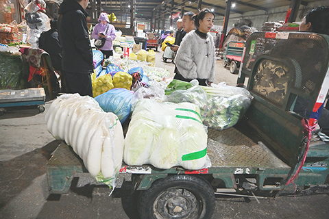◎ 十一月七日,呼和浩特市一蔬菜市場內,三輪車上放著民眾選購的成袋蔬菜。當天是二十四節氣中的立冬,意為冬季的起始。中國北方多地有著「立冬囤菜」的傳統。即便如今購買蔬菜十分便利,不少人還是會特意多買些大白菜、蘿蔔、土豆、紅薯這類耐儲存的蔬菜,留存起來慢慢吃。(中新社記者 劉文華 攝)