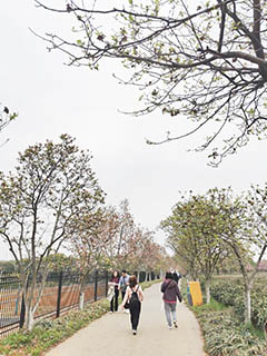 漫步於鳳凰溝生態園內