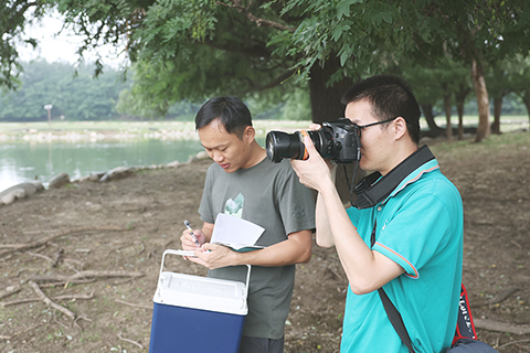 ◎ 八月十八日,北京麋鹿生態實驗中心的科研人員在觀察拍攝麋鹿。