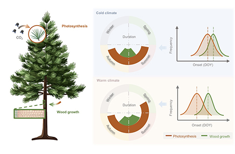 本項研究成果的相關示意圖。(中國科學院青藏高原研究所 供圖)