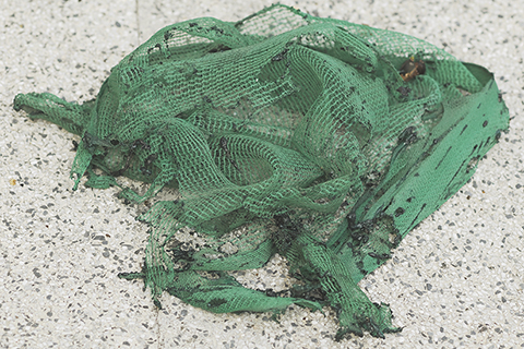 ◎ 這是十一月廿七日在大埔宏福苑火災現場拍攝的飄落的棚網。經警方實地調查搜證,在著火大樓中採集到七個地方的棚網樣本,沒有達到阻燃標準。(新華社發 王申 攝)