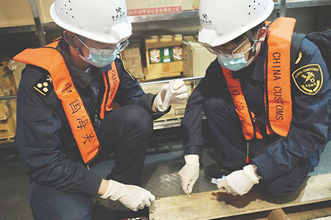 ◎ 高欄海關官員在進境船舶上截獲蟻類。(張倩攝)