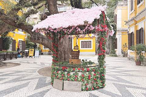 ◎ 「婆仔屋願望井及連理樹」。